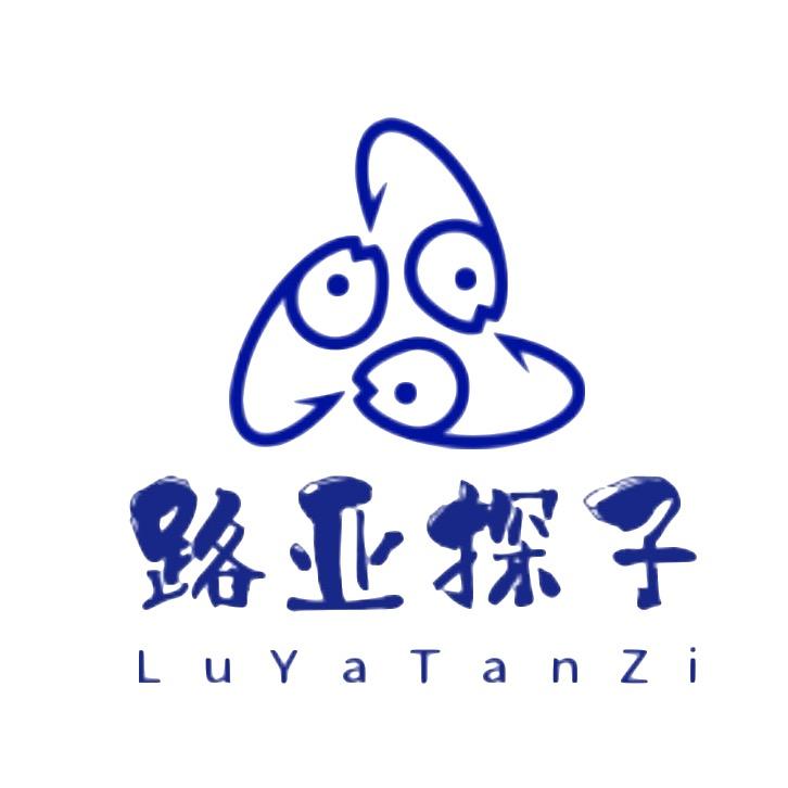 路亚探子（大号）