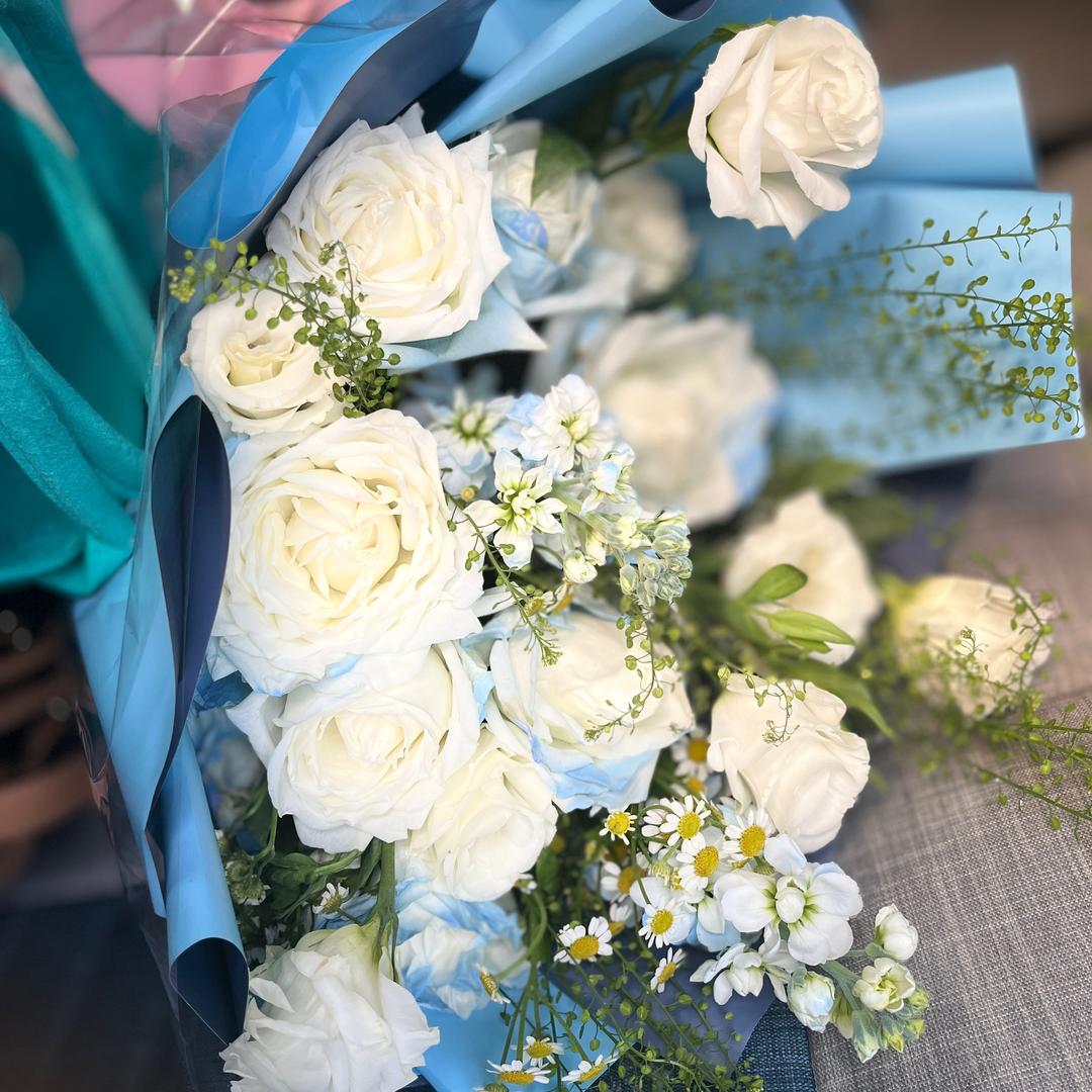 🍀海🍂纳🍃百🍁川