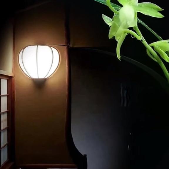 夜灯下的蛋蛋呀