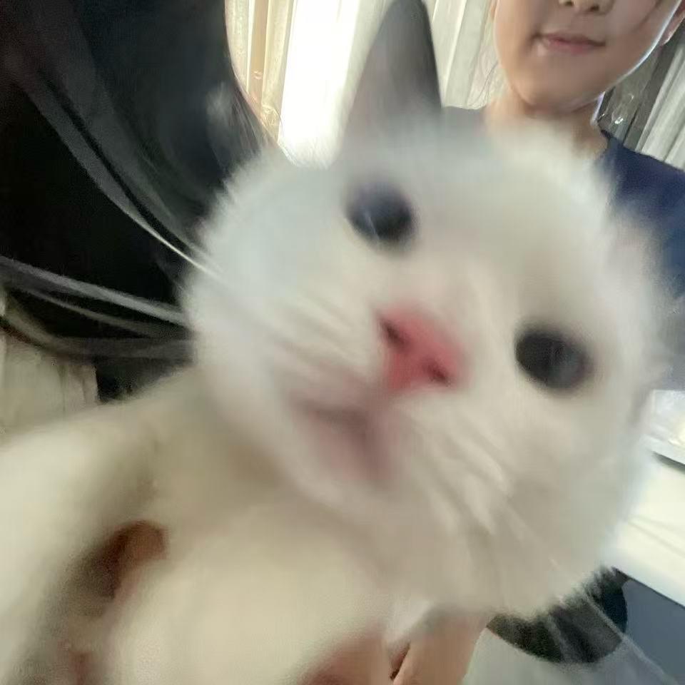 我是多多吖