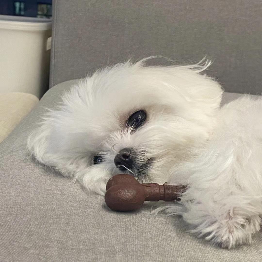 每天都在困的路上