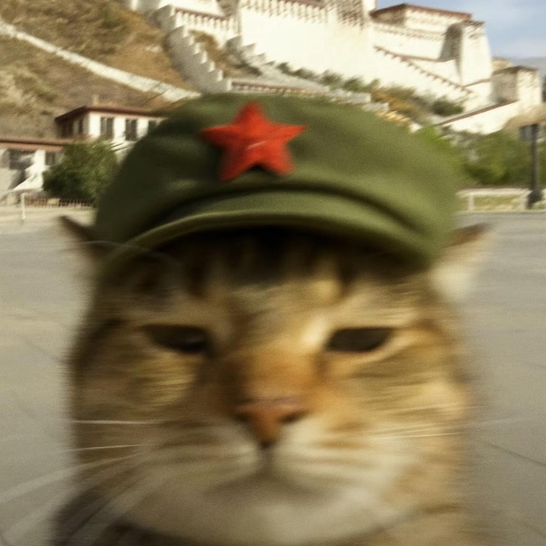 落枫.