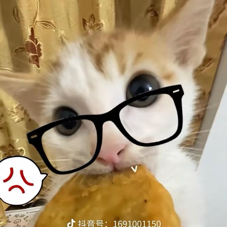 纯恨战士