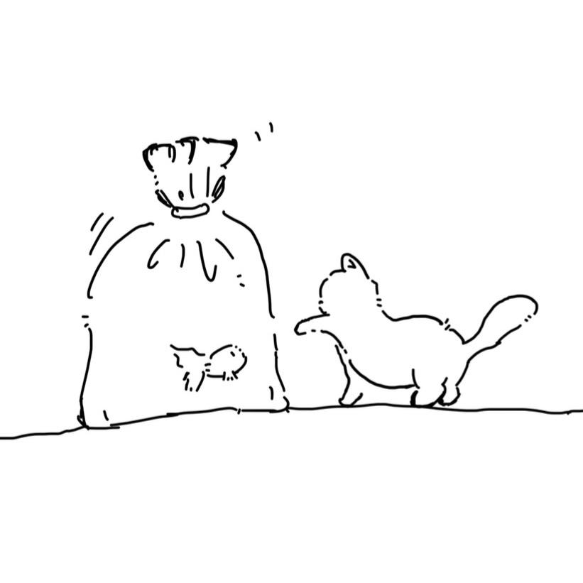 轻音部的猪鼻龟