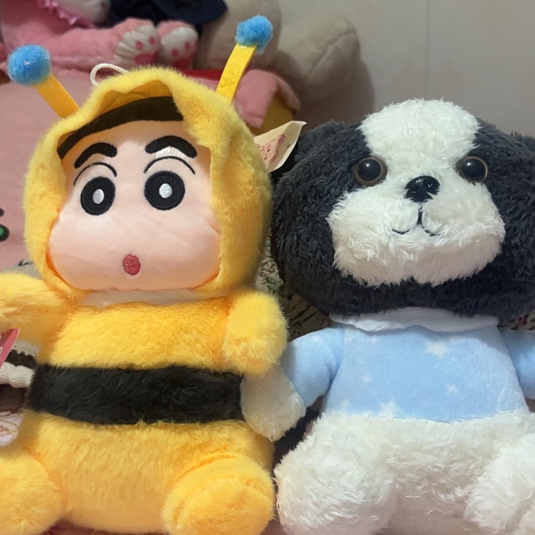 玫瑰百合