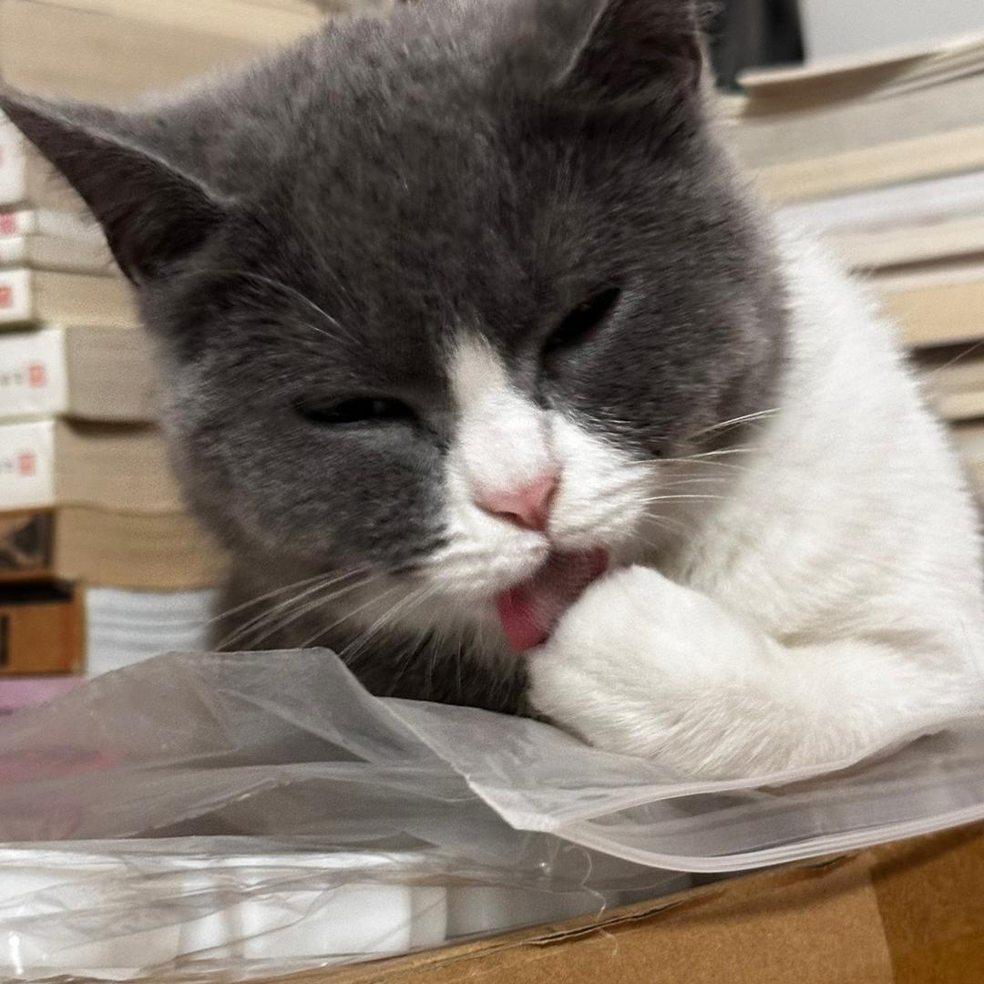 紫金幼儿园尿裤子比赛冠军🏆