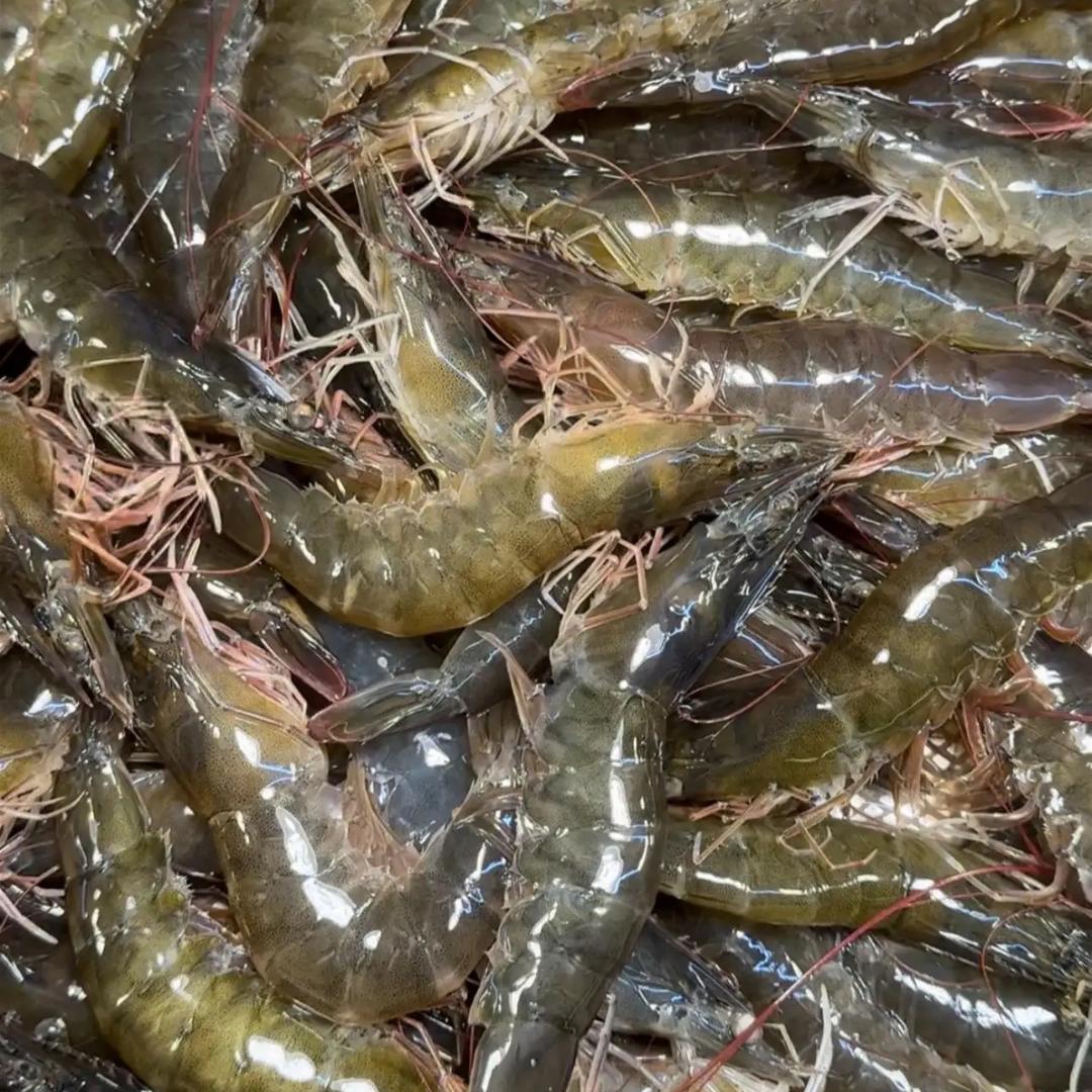 友鱼友虾生鲜食品