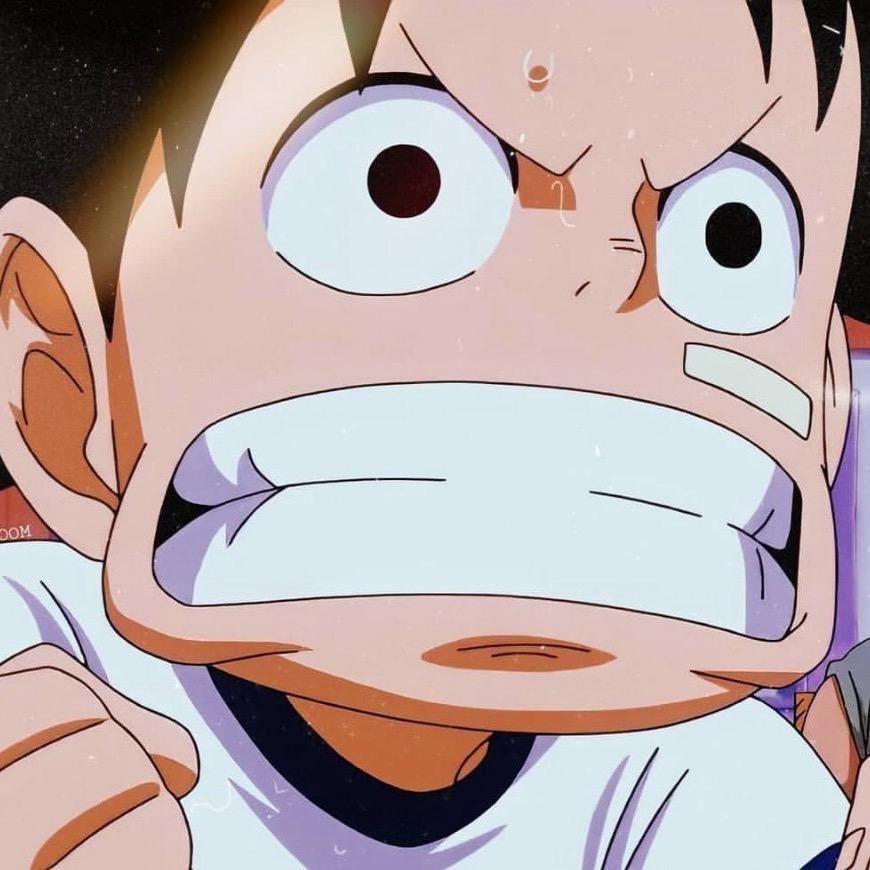 跟着路飞去航海