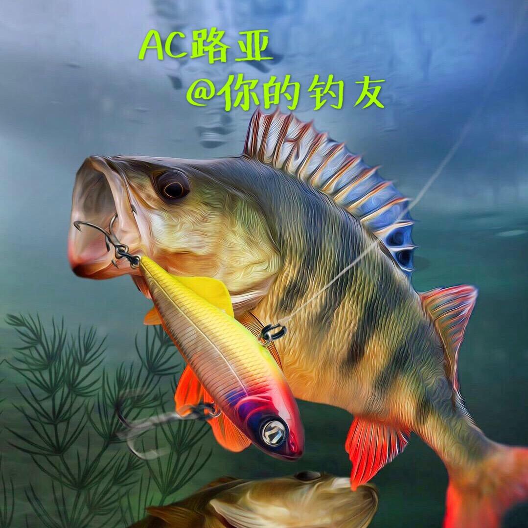 AC路亚（Action Lure）