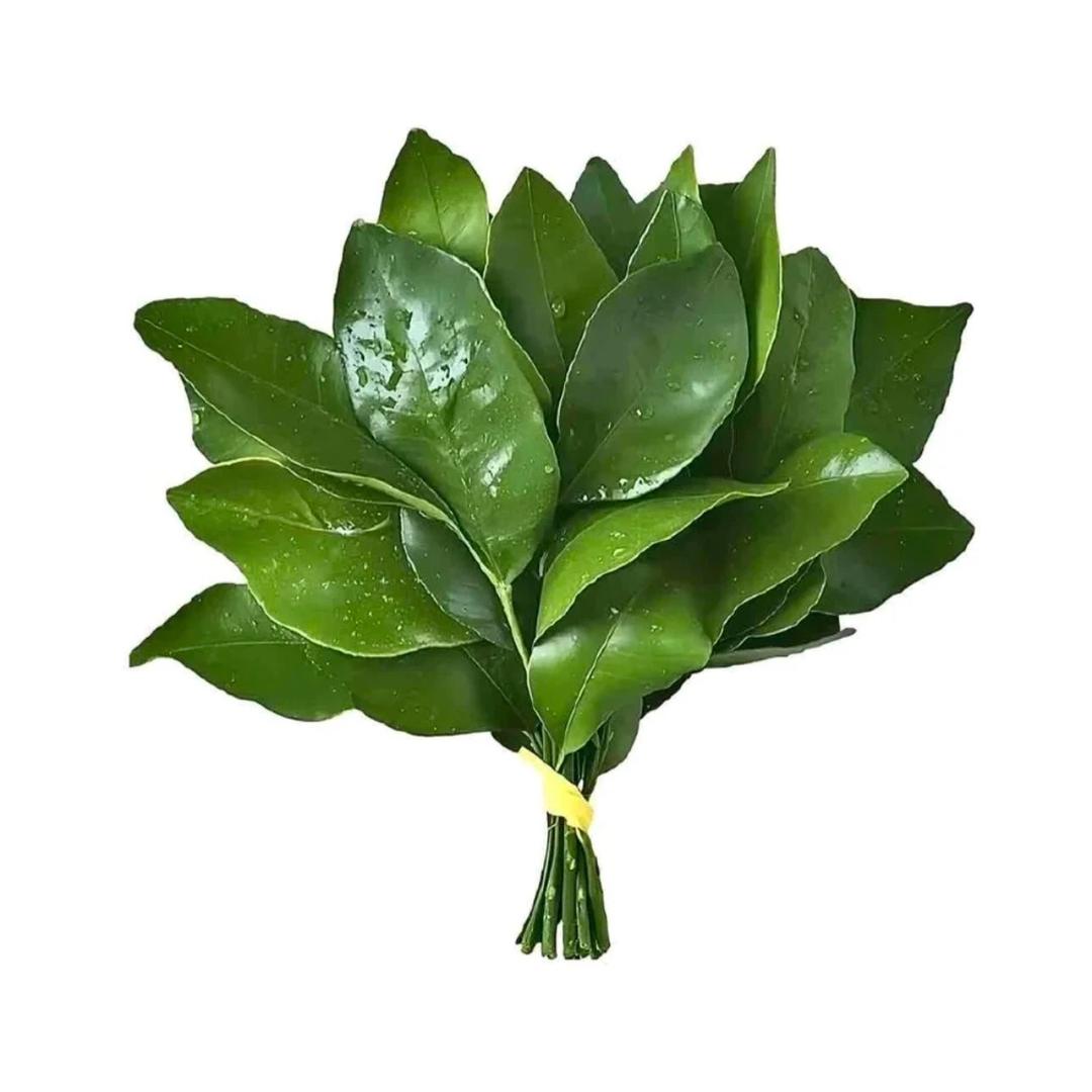 7+1