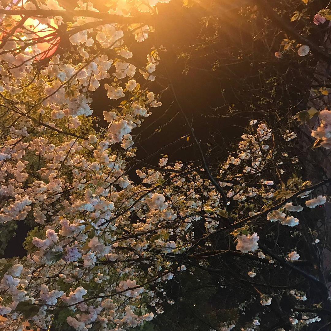 .时光