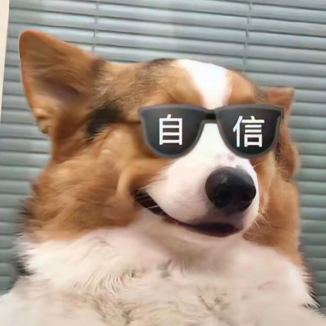 爱唱歌的小狗TT