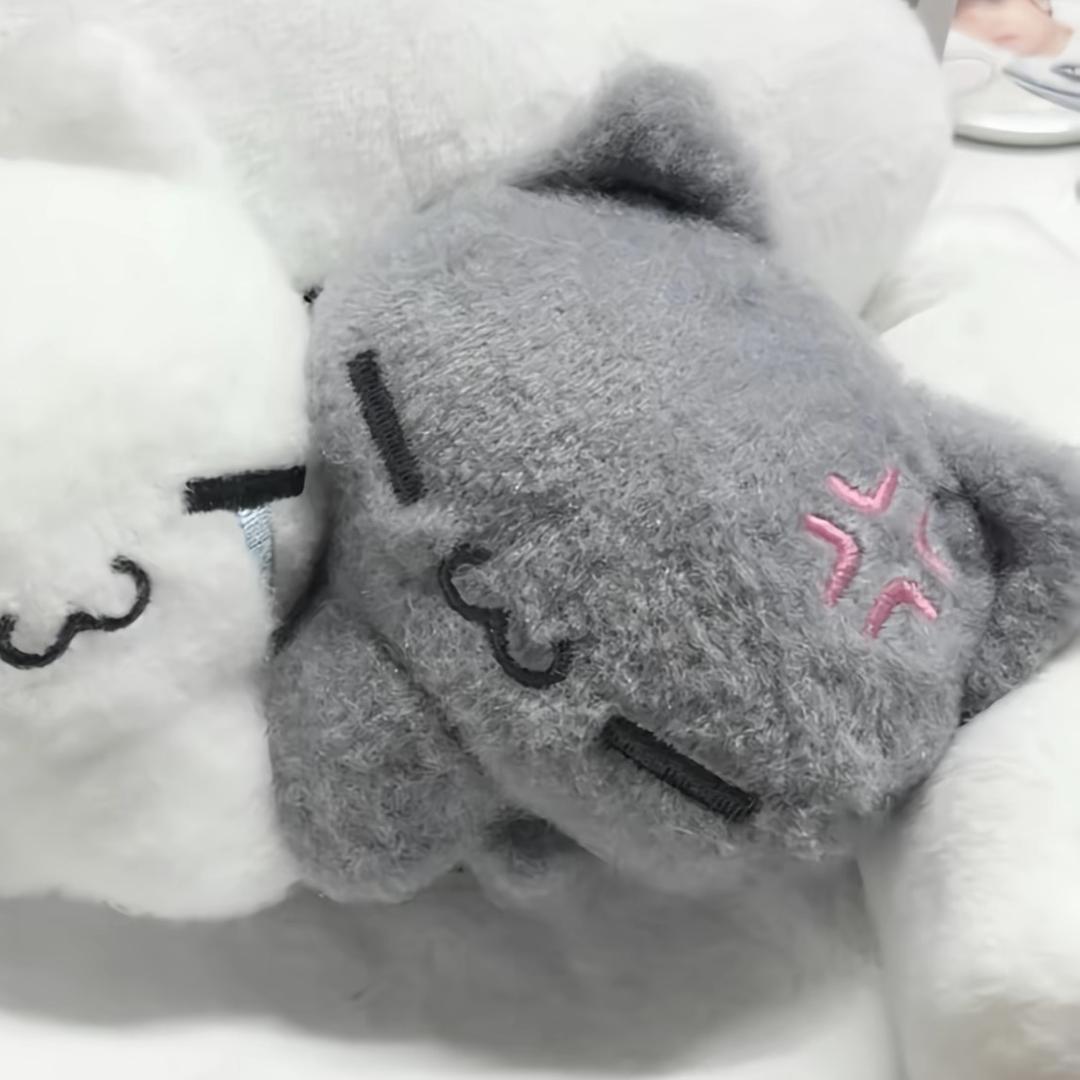 我不是小歪