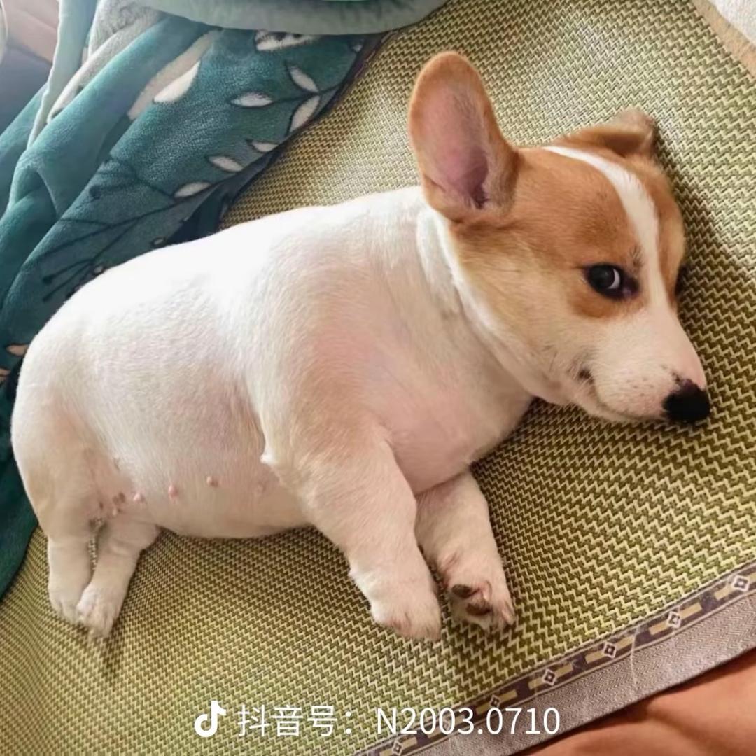 汇通天下