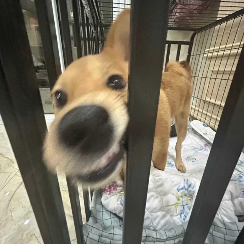 琳🔔