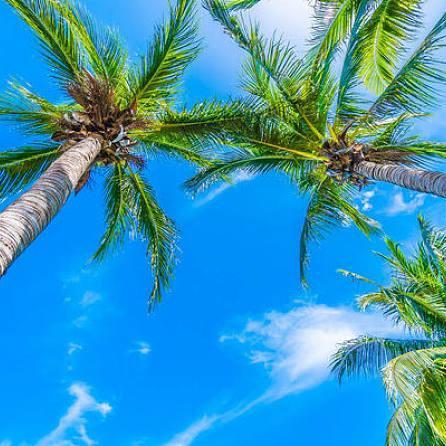 厚德载物赵老师