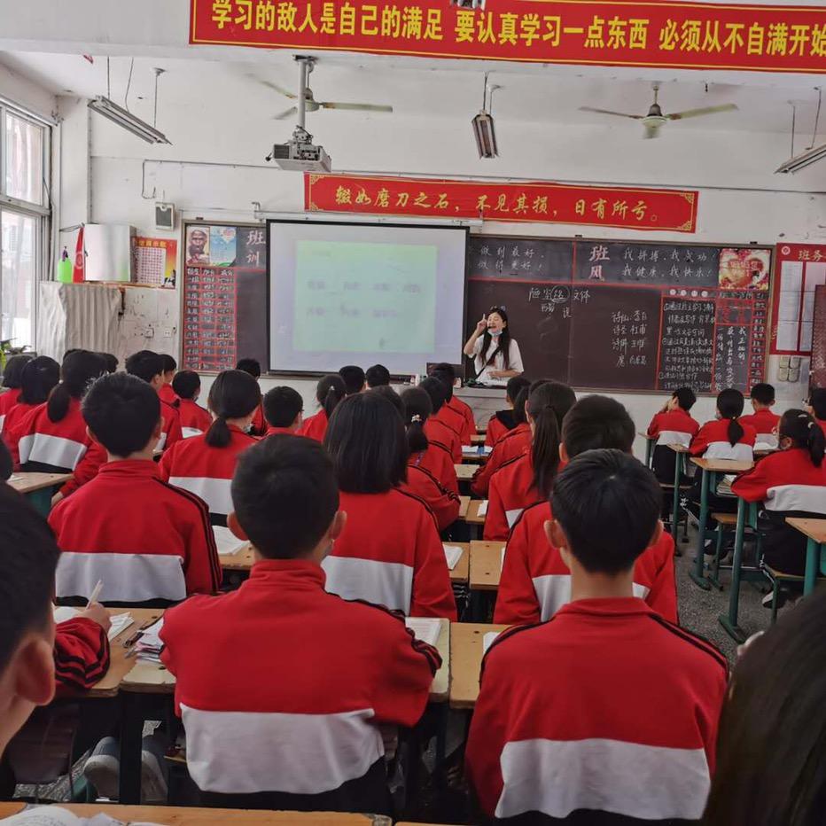 小杨老师的教书日记