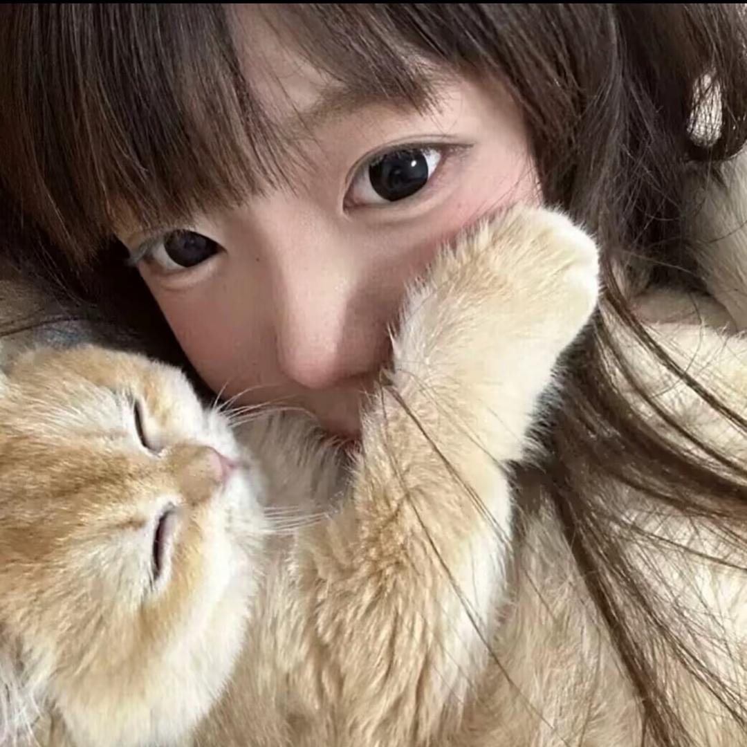 别动我的猫🐾