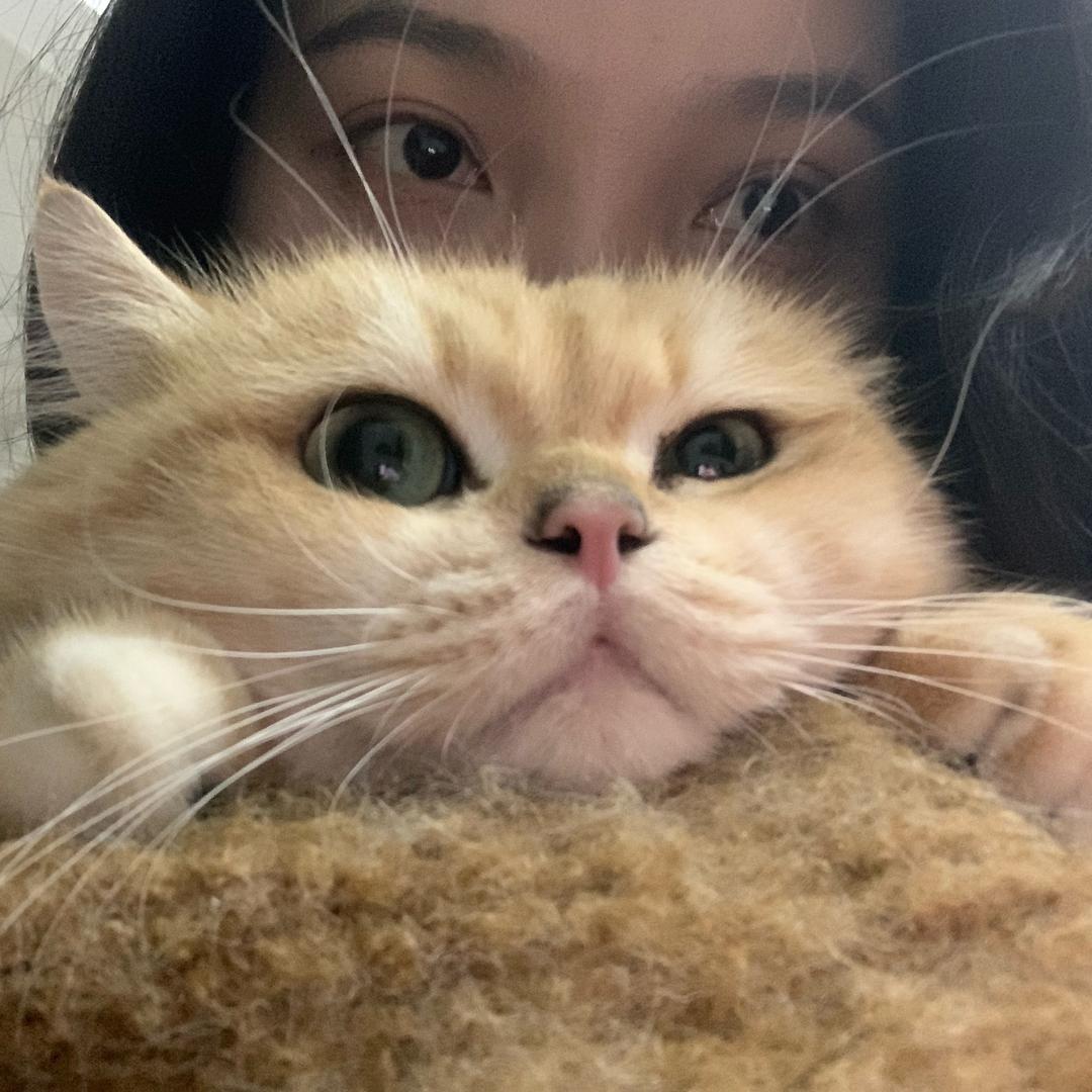 HHё