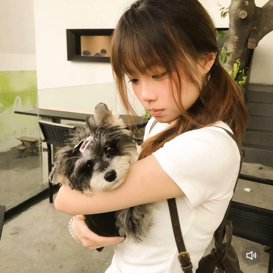 我不是嘎嘎