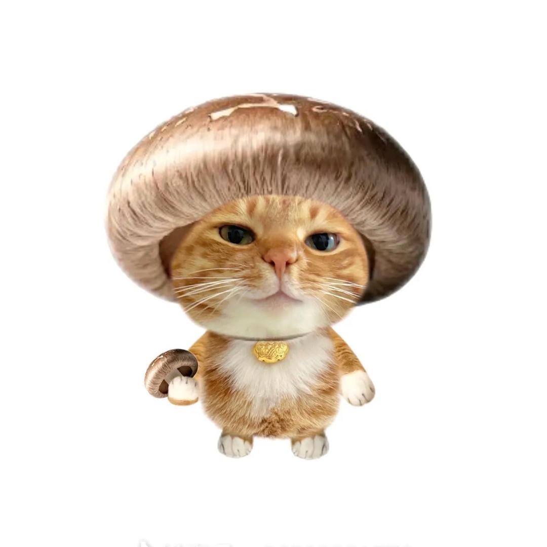 阳🐑