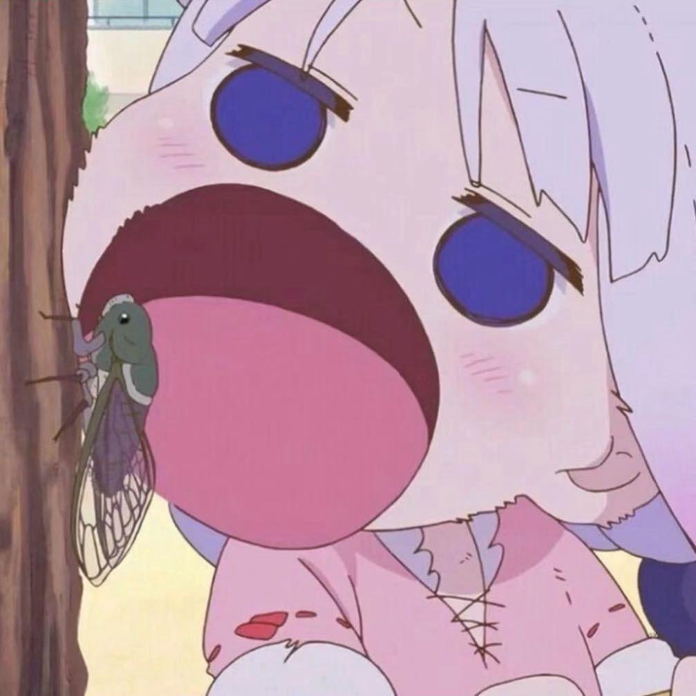 潘茹晗