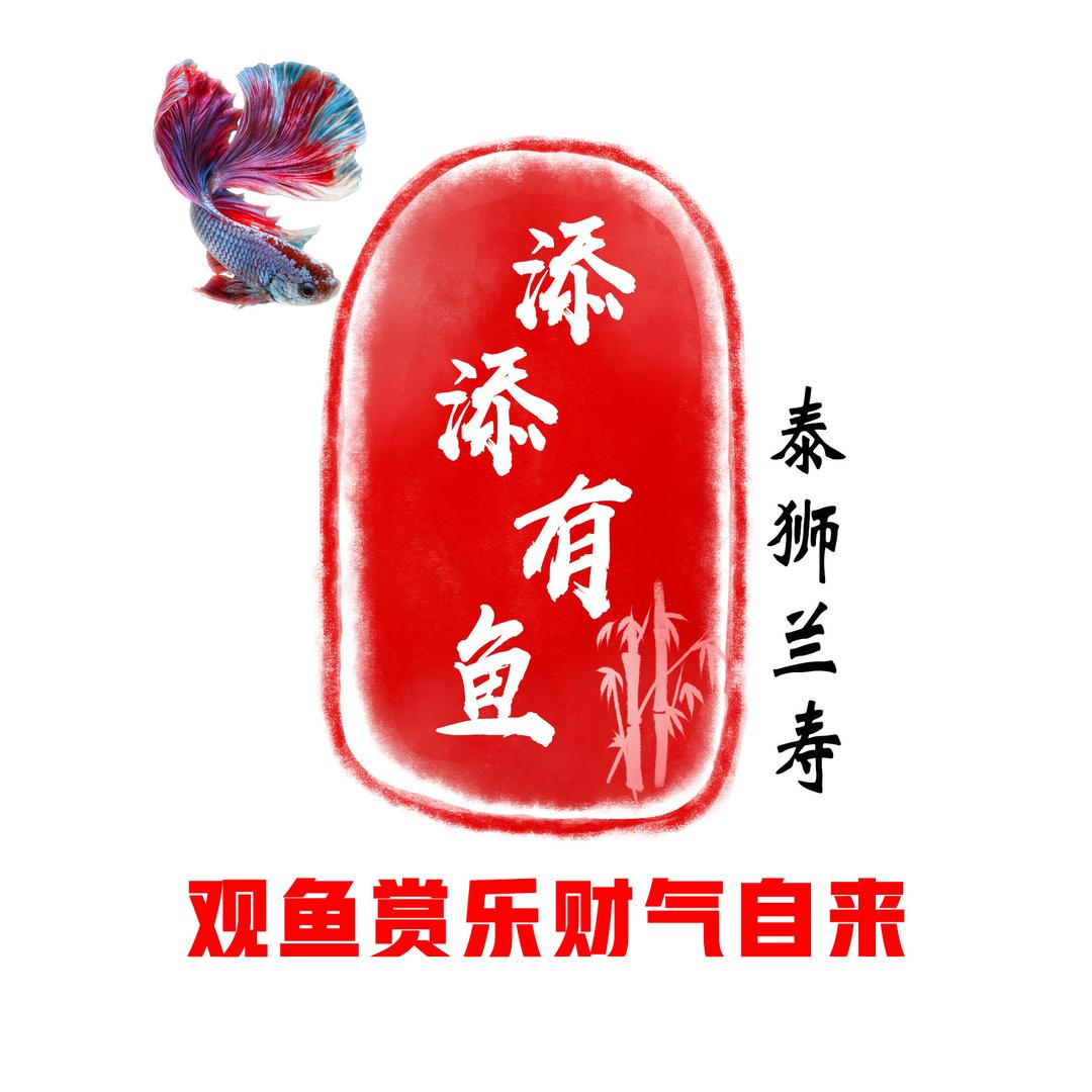 添添有鱼精品观赏鱼