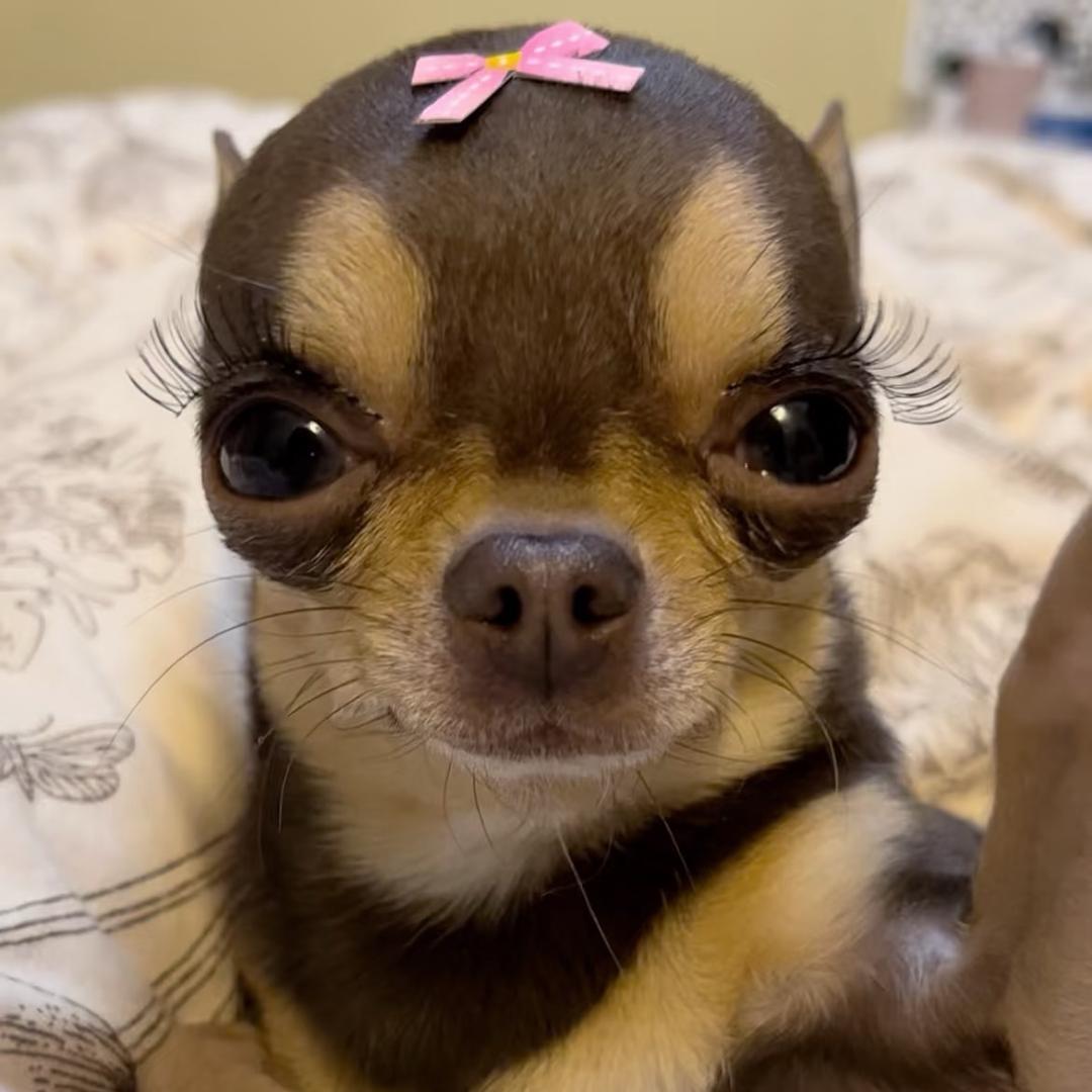 徐小鱼