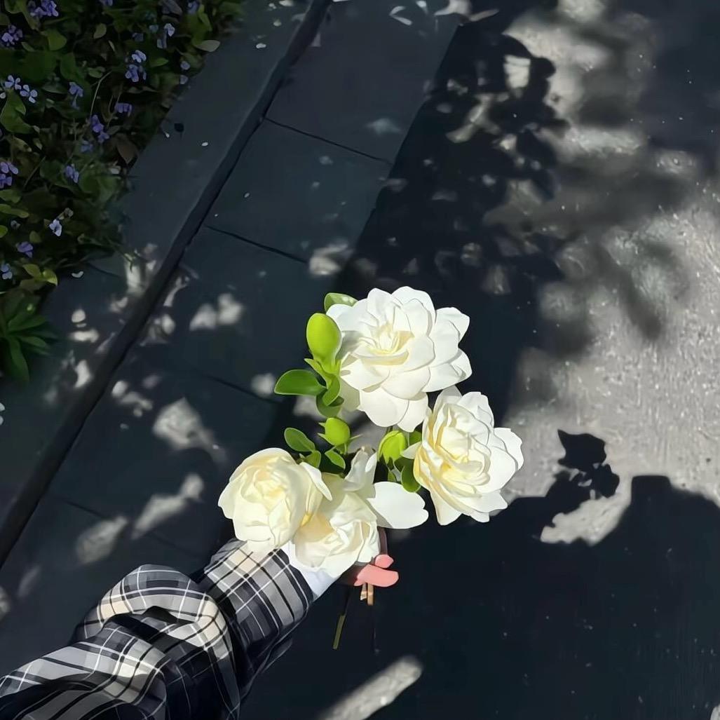 一棵树🌳