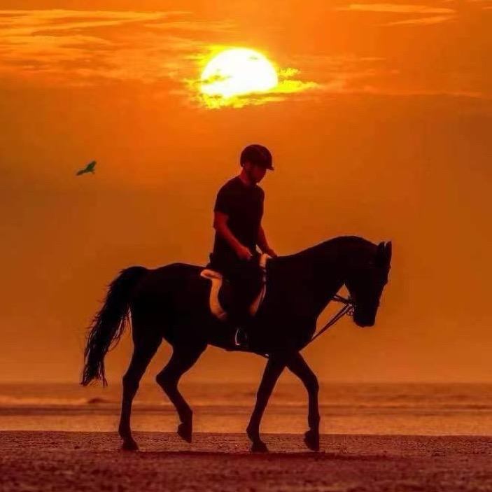芒果🐎