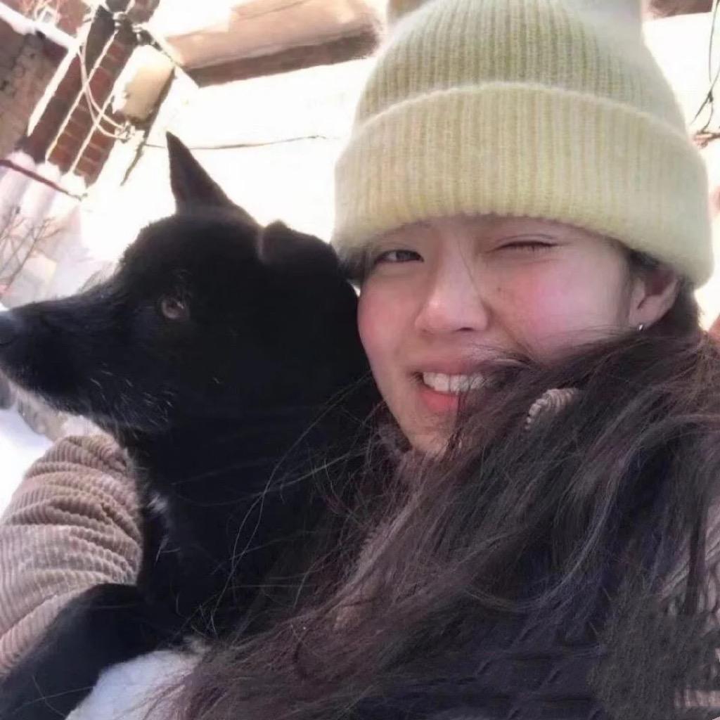 一枝郁金香（含苞待放版）