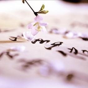 高富昱干坚果采收机