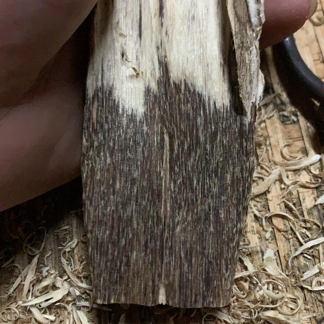 白木香（自家林场天然虫漏香，锯口香）