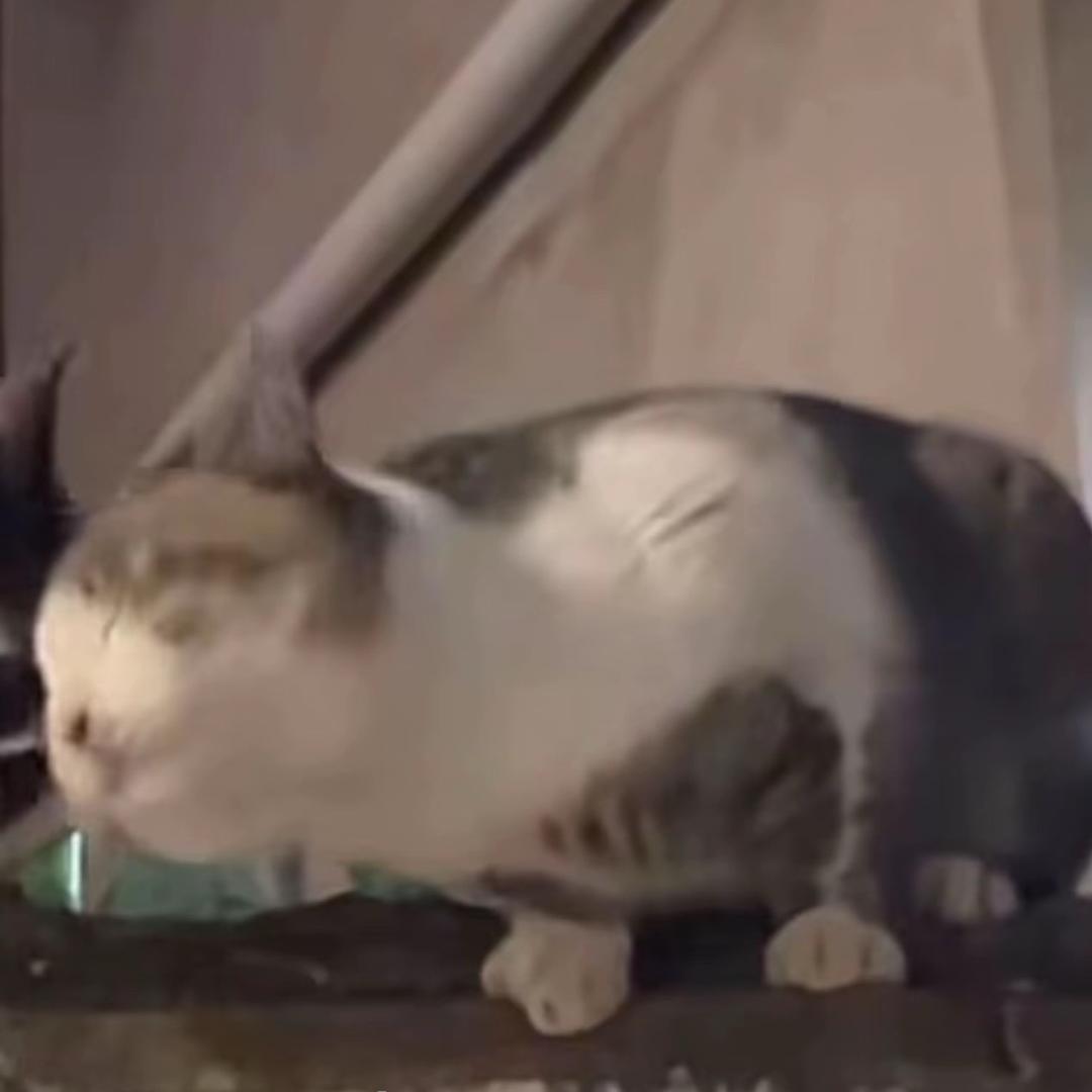 Ninaaaa