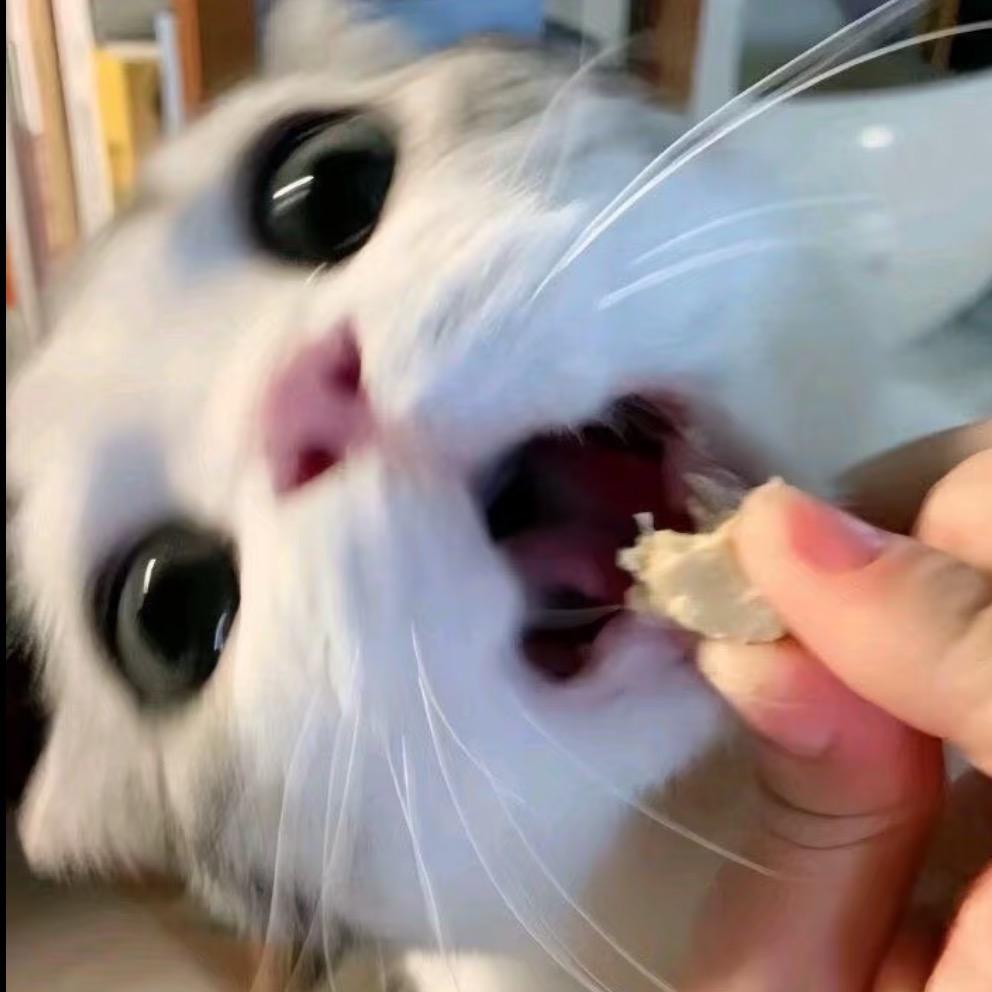 在逃烤饼