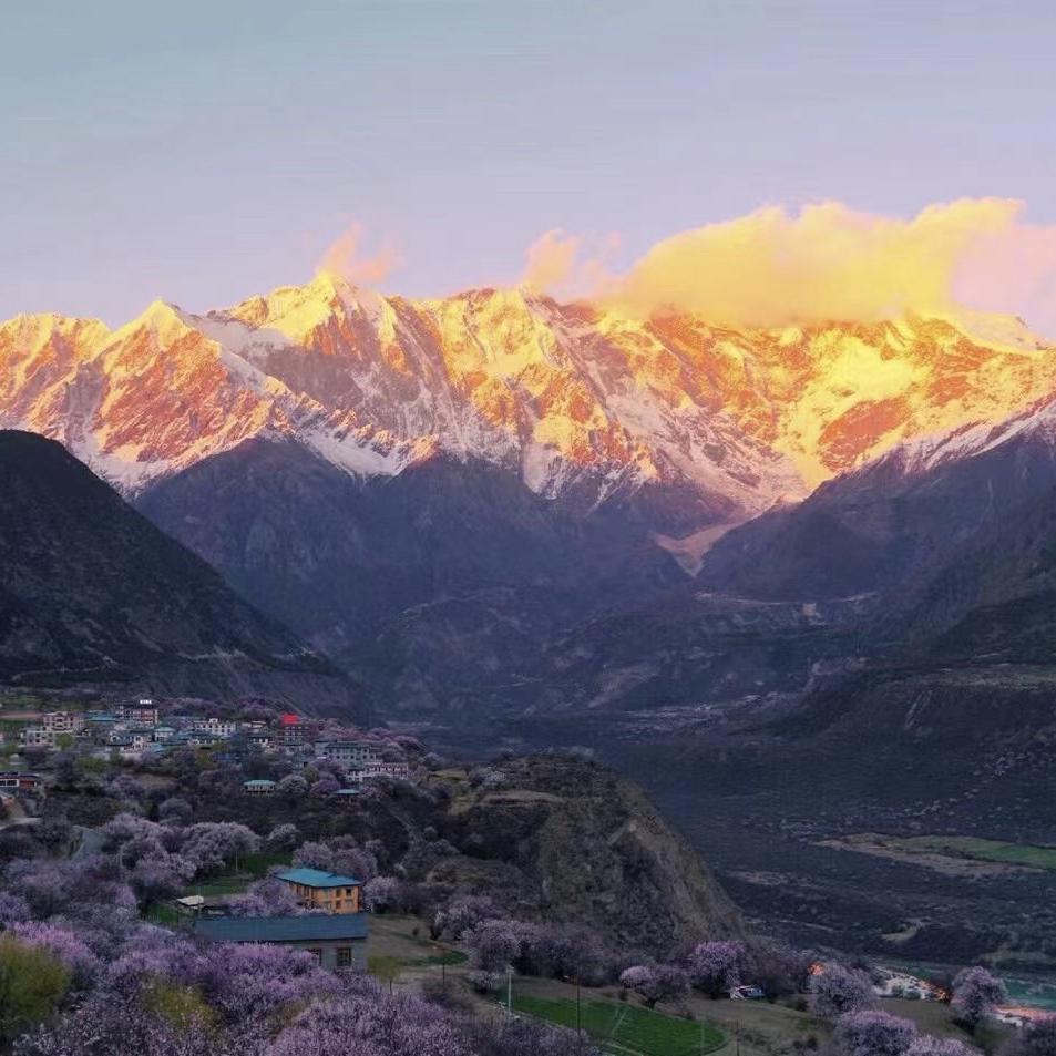 太行木料工艺品店