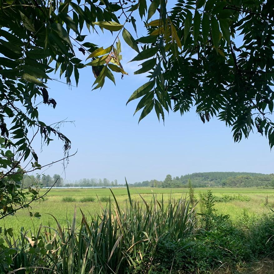 横飘🎣车载活鱼箱