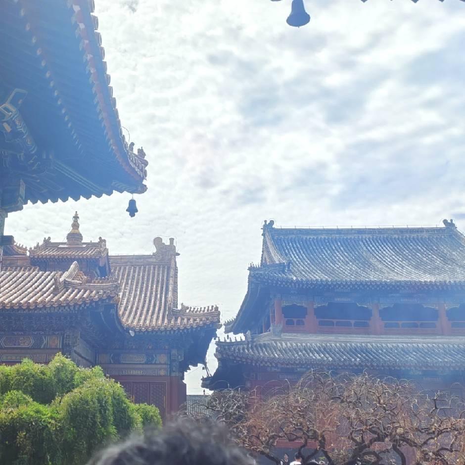 雍和小师傅（靠谱版）