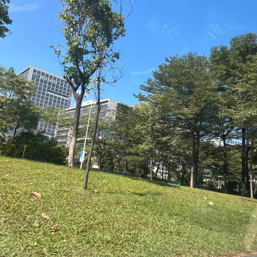 集美制罐/陈