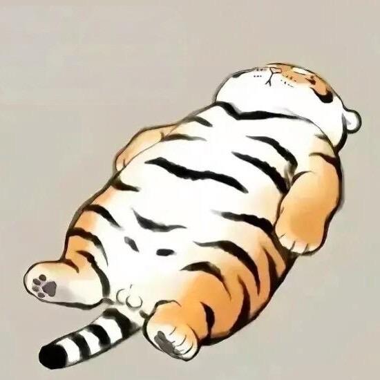 我辈征途星辰大海