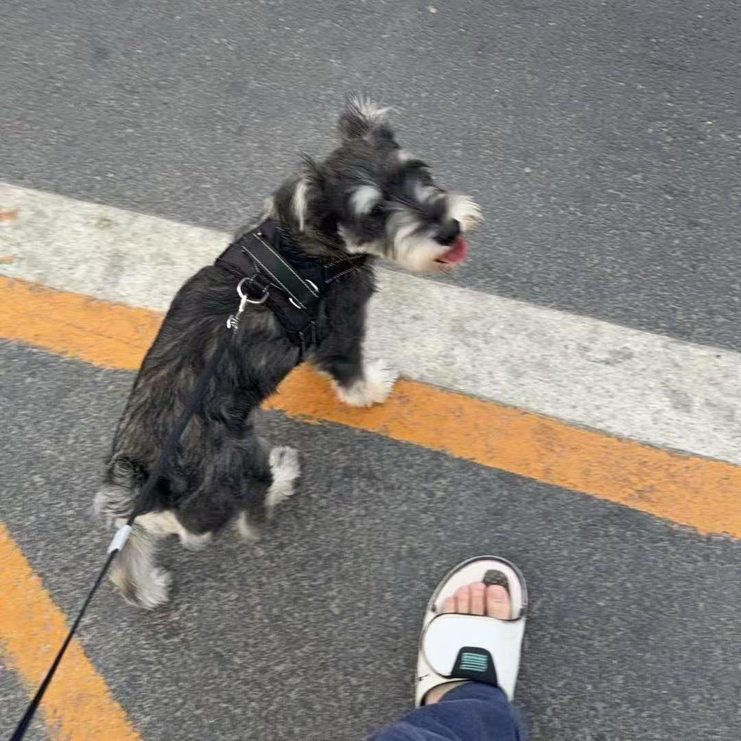 路飞打败黑胡子.