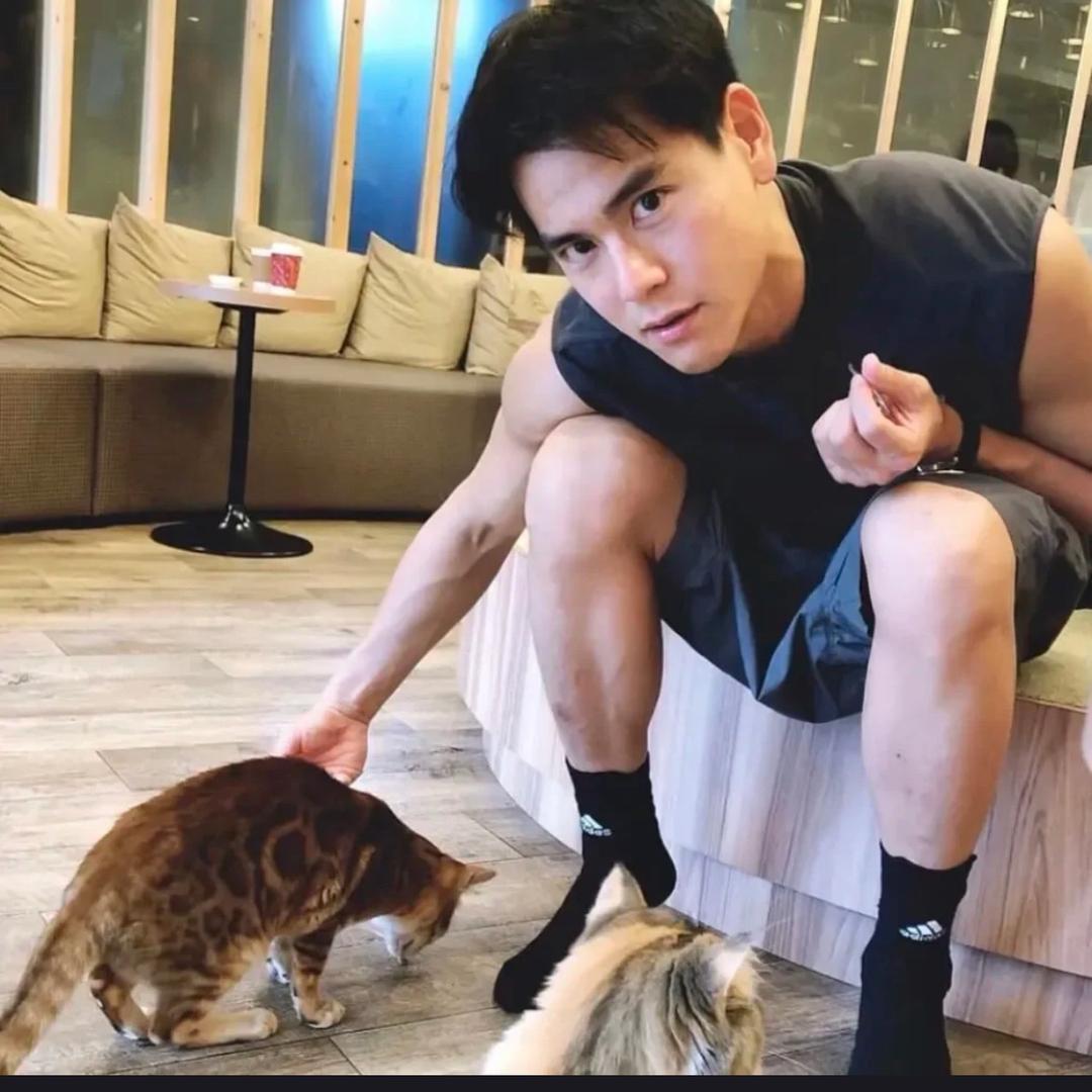 🌈爱吃小橙子🌈