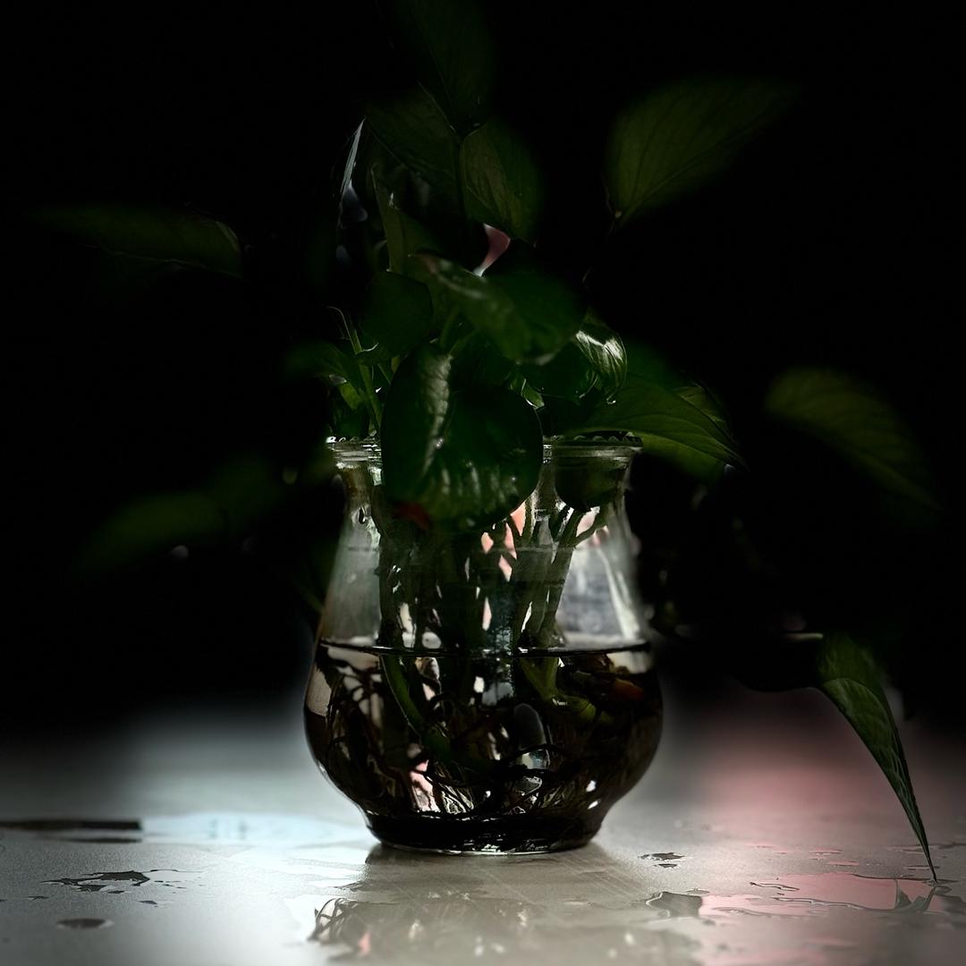 邂逅