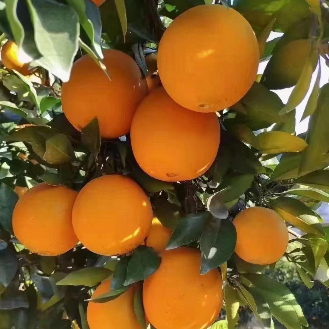 溯源精选