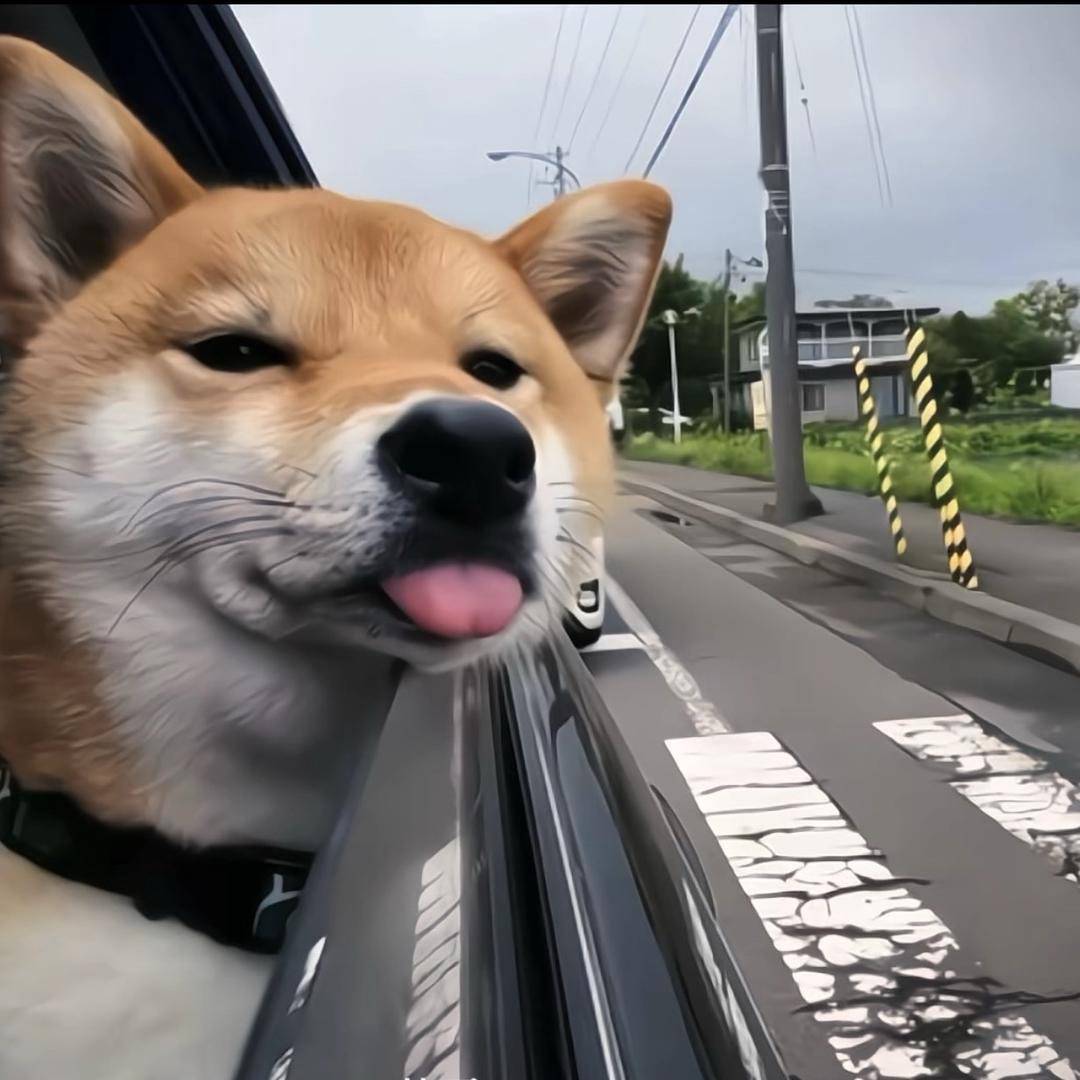 你在我诗的每一页