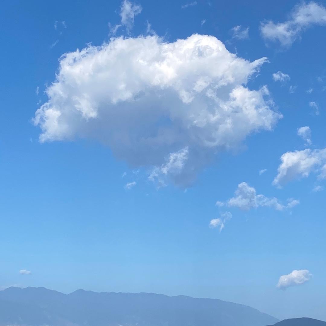 其实你懂得