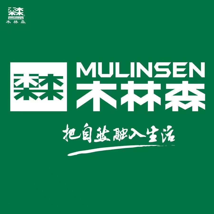 木林森浩堃男鞋专卖店
