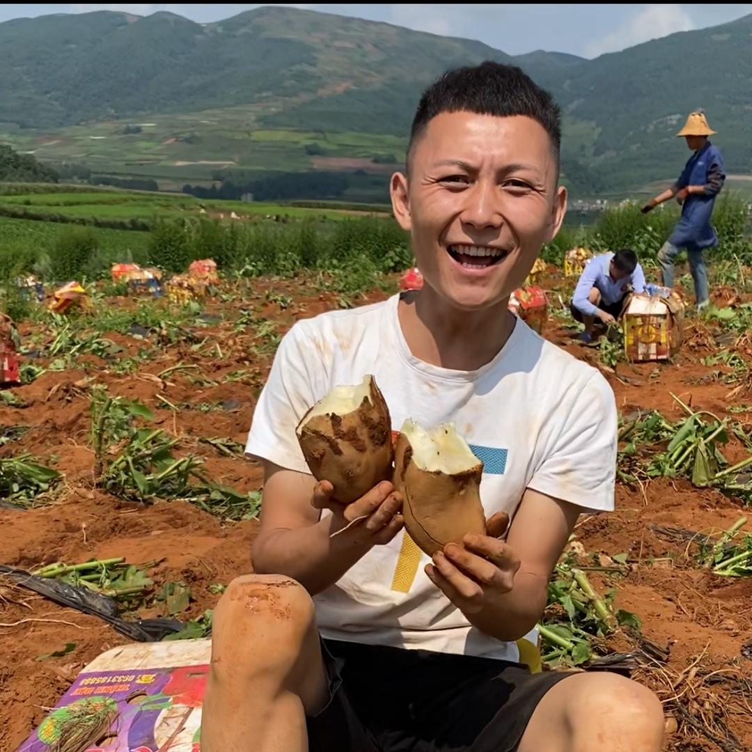 小杨农产品优选