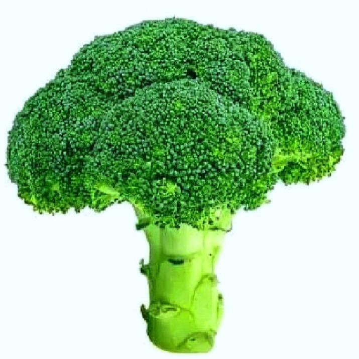 一朵菜花🥦