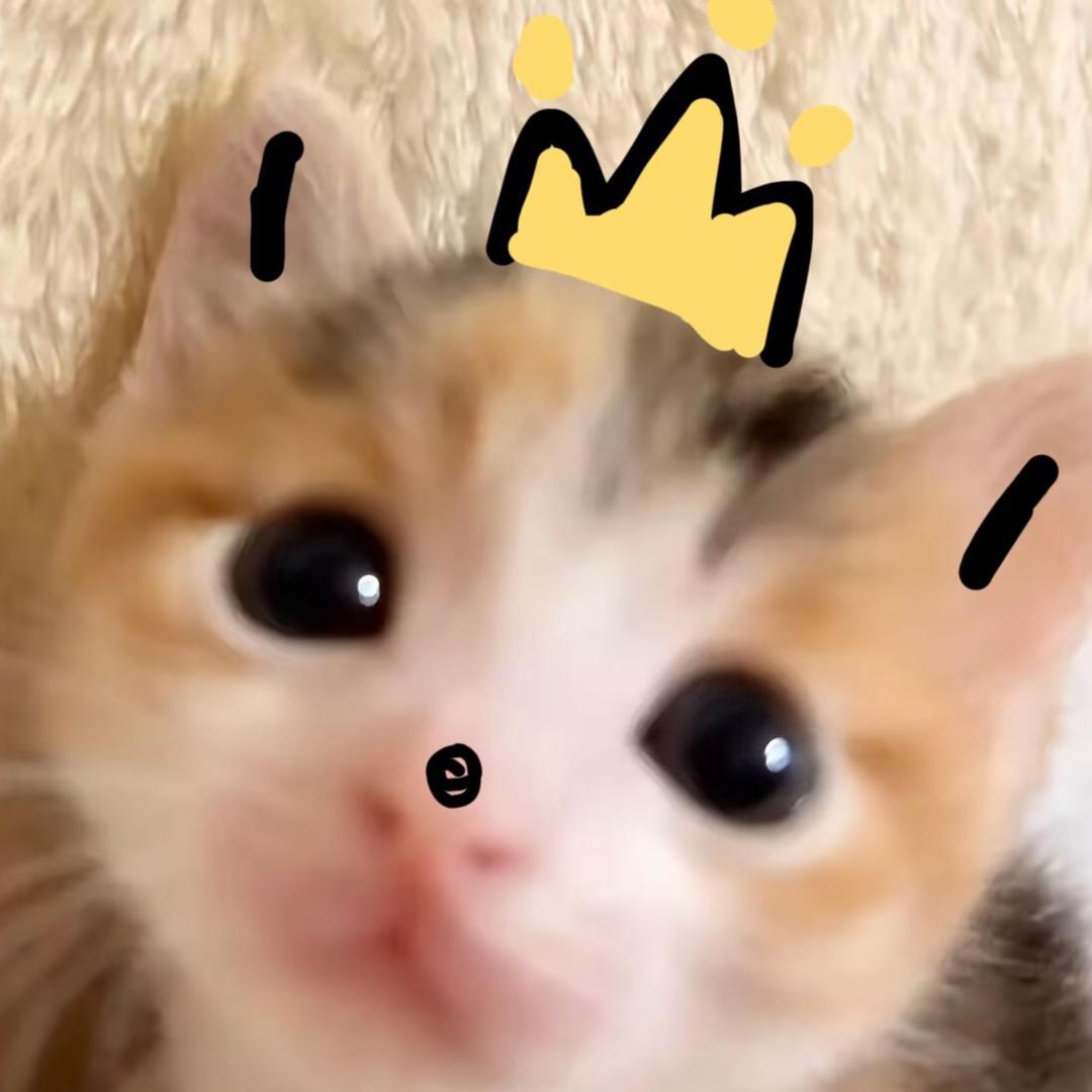 菏途大王✧我有漓儿重度依赖✧